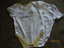 Bodynka (1/1)