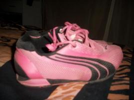 Botasky Puma (2/2)