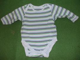 Body (1/1)