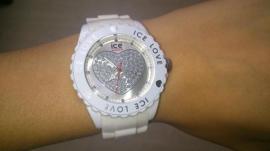 Ice watch (1/4)