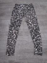Leginky (2/2)