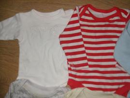 12x body (3/4)