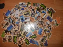 Nalepky (2/3)