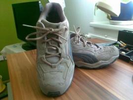 Botasky puma (1/4)