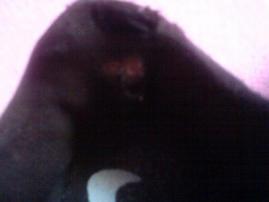 Nike botasky (4/4)