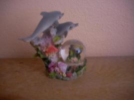 Delfinci (1/1)