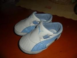 Capacky puma (1/4)