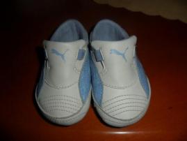 Capacky puma (2/4)