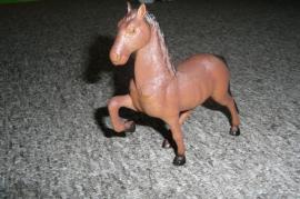 Konik hnedak... (1/3)