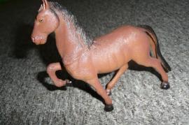 Konik hnedak... (2/3)