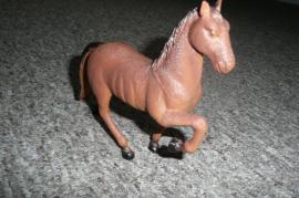 Konik hnedak... (3/3)