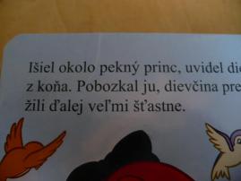 Kniha s puzzle (4/4)