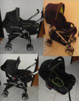 Kociar Pure Lothus (1/2)