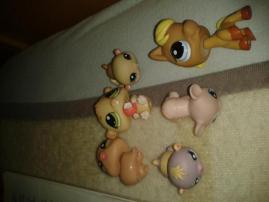 Litylest pet shop lps (1/1)