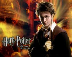 Harry potter 5,6 (1/1)