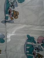 Paplón (1/3)