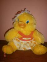 Kacicka (1/1)