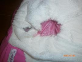 Bunda (3/3)