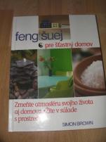 Feng-šuej (1/1)