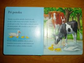 Kniha s pazzle (3/4)