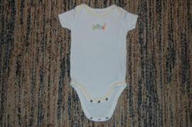Body (2/4)