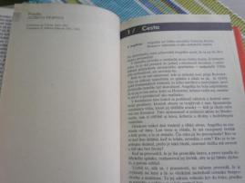 Angelika 6 (2/2)