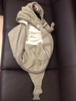 Babyvak lodger shelter (1/2)