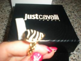 Just cavalli (1/2)