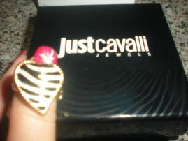 Just cavalli (2/2)