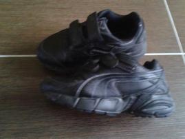 Botasky puma (1/2)