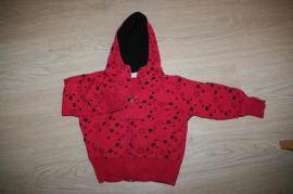 Mikina (1/1)