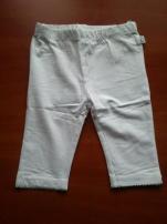 Leginy (1/1)