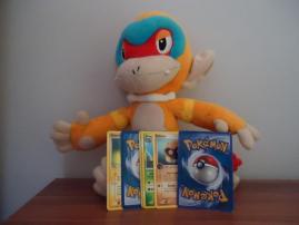 Pokémon-nohavice,karty,pl (1/3)