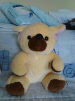 Macko (1/1)