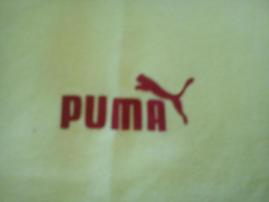 Tielko puma (3/3)