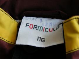 Hnedocierna vetrovka (5/6)