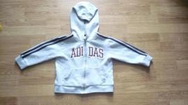 Adidas mikina (1/1)