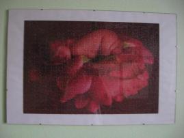 Puzzle od anny geddes (1/2)