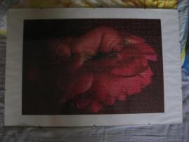 Puzzle od anny geddes (2/2)