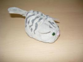 Macicka (3/3)