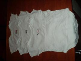 Body (1/1)