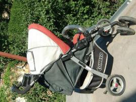 Sportovy kocik (2/4)