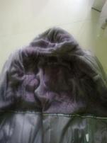 Tepla bunda (2/4)