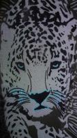 Tričko / šaty leopard (3/3)