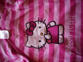 Hello kitty (2/4)