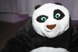 Kunfu panda (3/4)