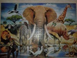 Puzzle (1/3)