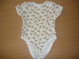 Body (1/2)