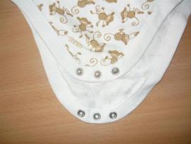 Body (2/2)
