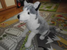 Psik scooby (3/3)